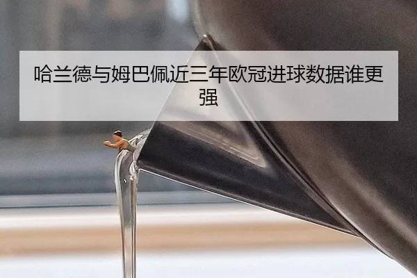 ha-lan-de-yu-mu-ba-pei-jin-san-nian-ou-guan-jin-qiu-shu-ju-shui-geng-qiang-2-807.jpg